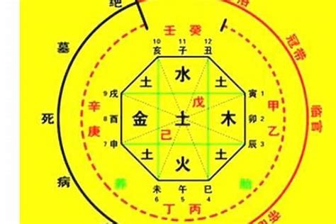 喜五行|八字喜用神查询